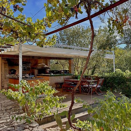 Glamping Do Ze Hotel Cernache do Bonjardim Bagian luar foto