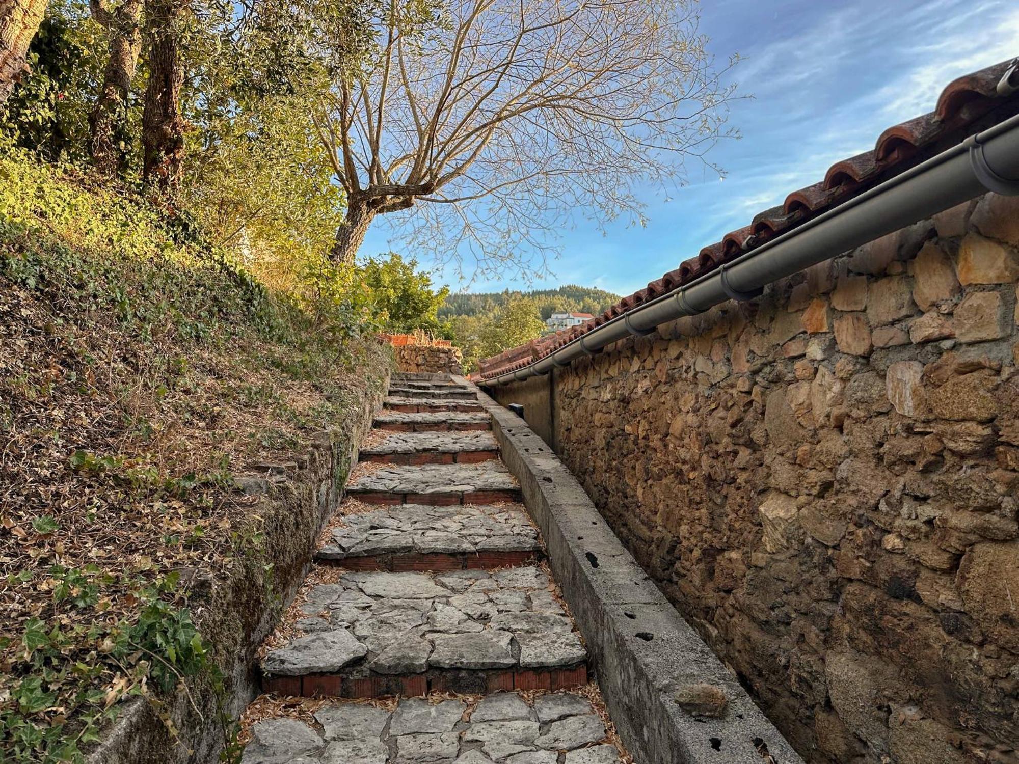 Glamping Do Ze Hotel Cernache do Bonjardim Bagian luar foto
