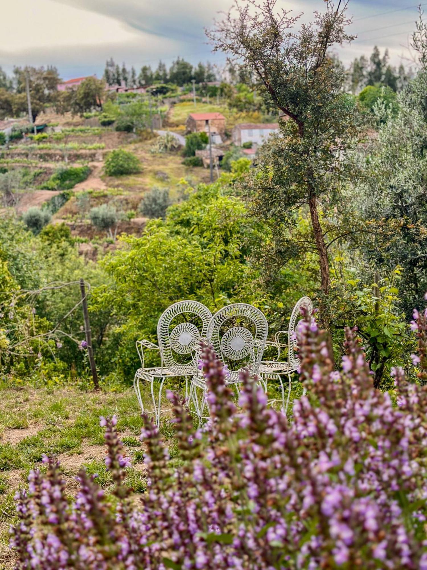 Glamping Do Ze Hotel Cernache do Bonjardim Bagian luar foto