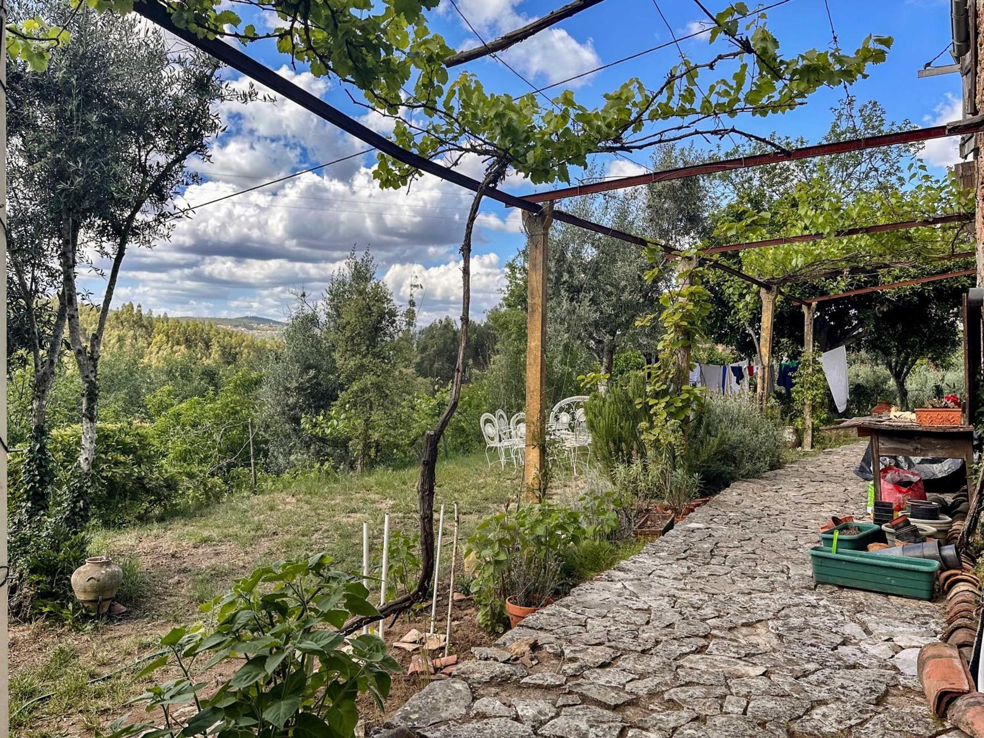 Glamping Do Ze Hotel Cernache do Bonjardim Bagian luar foto