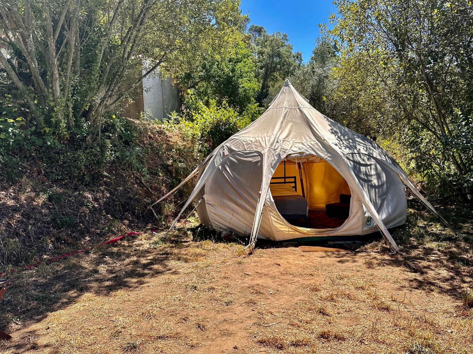 Glamping Do Ze Hotel Cernache do Bonjardim Bagian luar foto