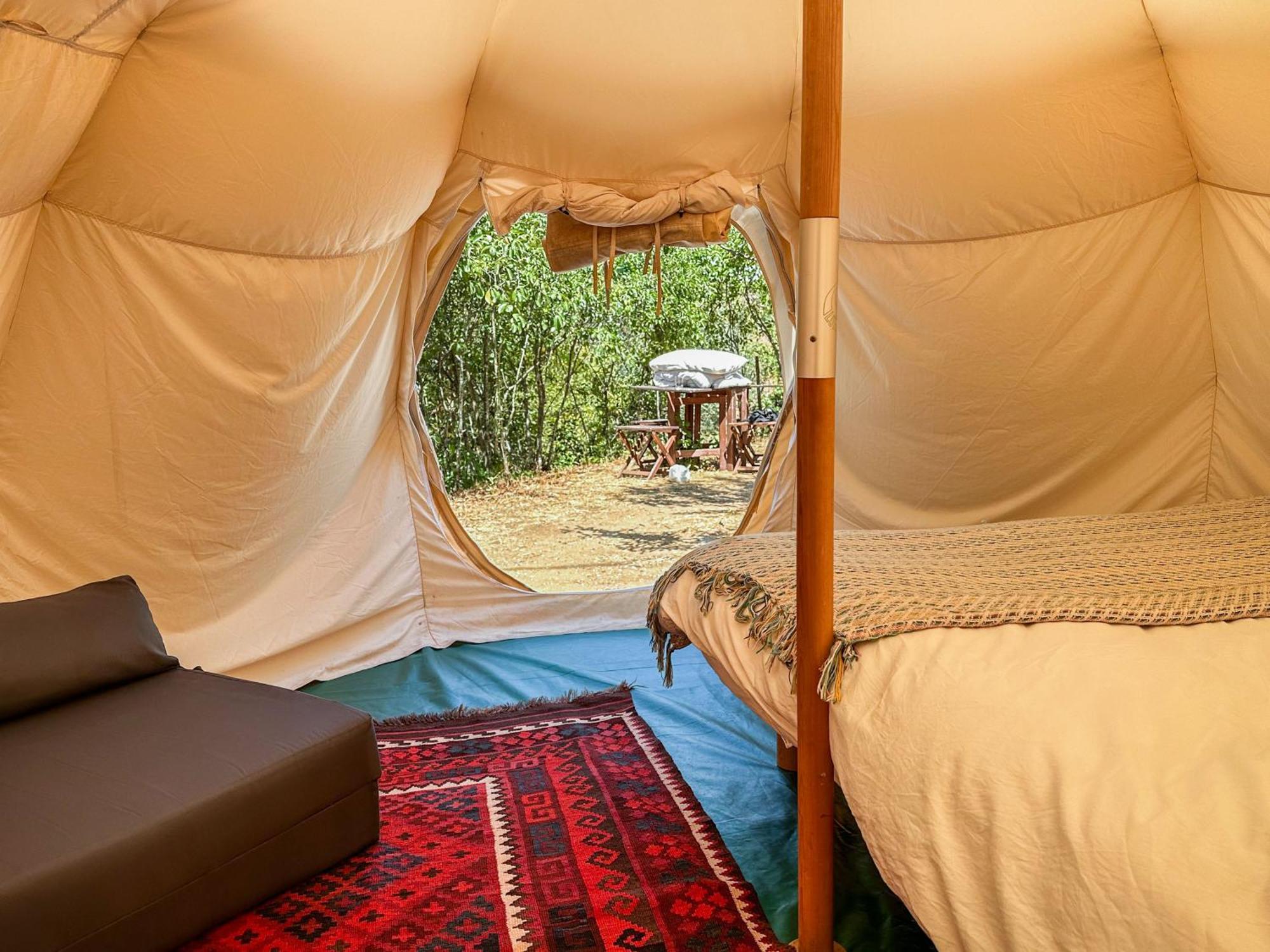Glamping Do Ze Hotel Cernache do Bonjardim Bagian luar foto