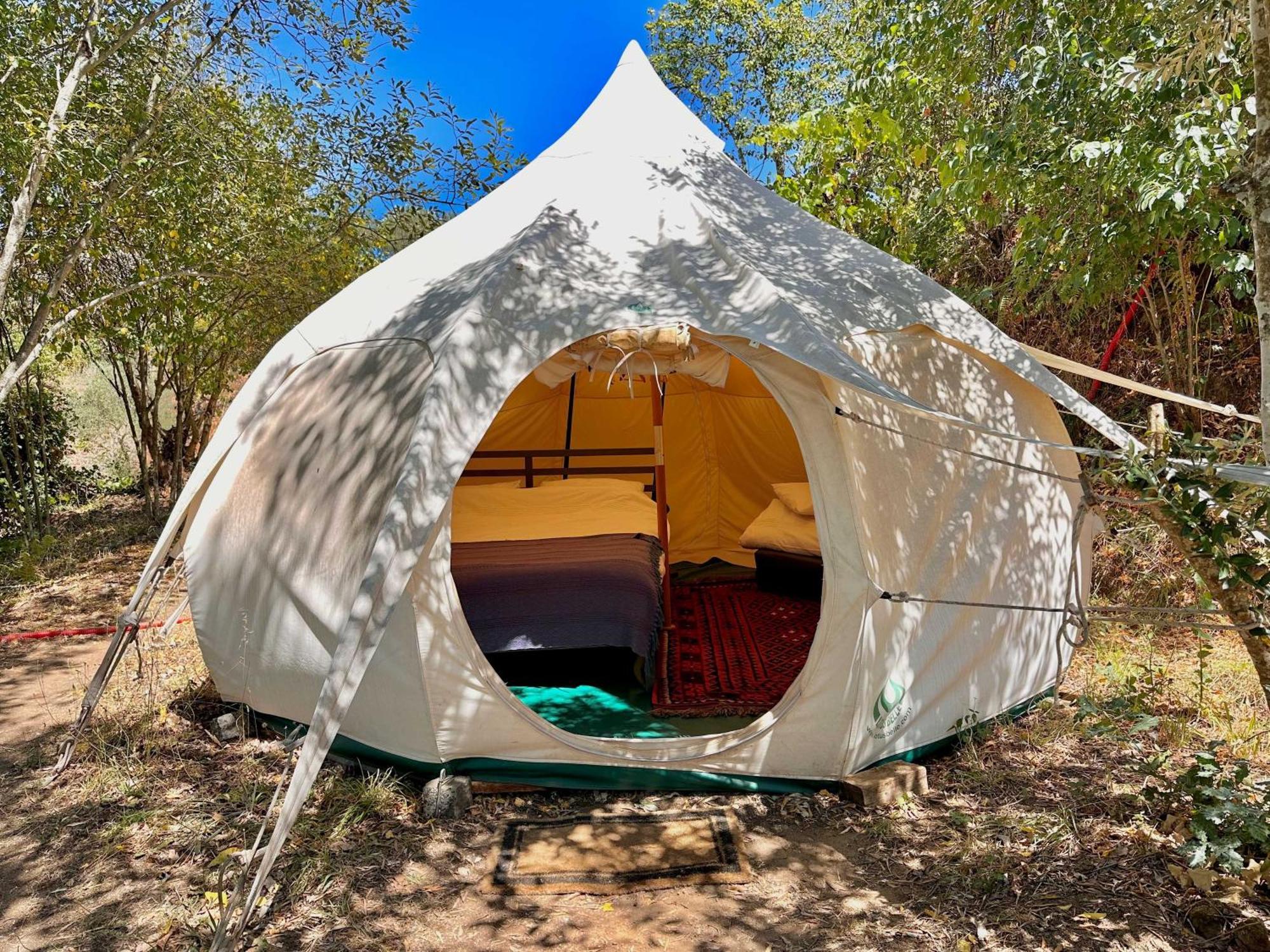 Glamping Do Ze Hotel Cernache do Bonjardim Bagian luar foto