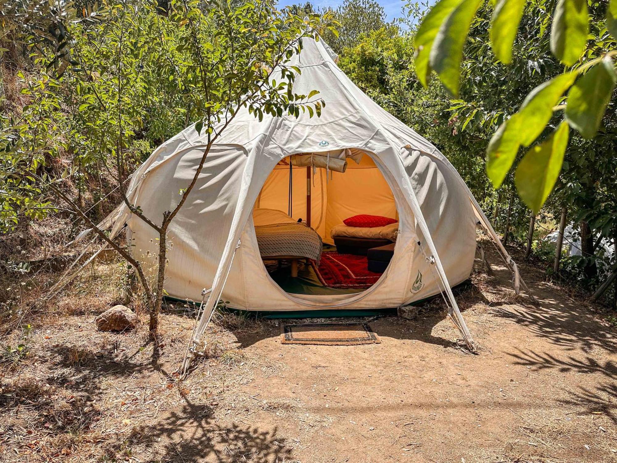 Glamping Do Ze Hotel Cernache do Bonjardim Bagian luar foto